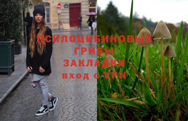 дурь Алексин