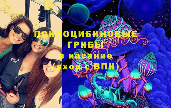 шишки Балабаново