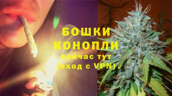 mdpv Арсеньев