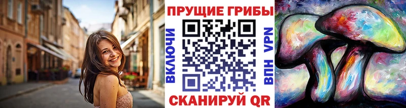 omg сайт  Пласт  Псилоцибиновые грибы Cubensis 